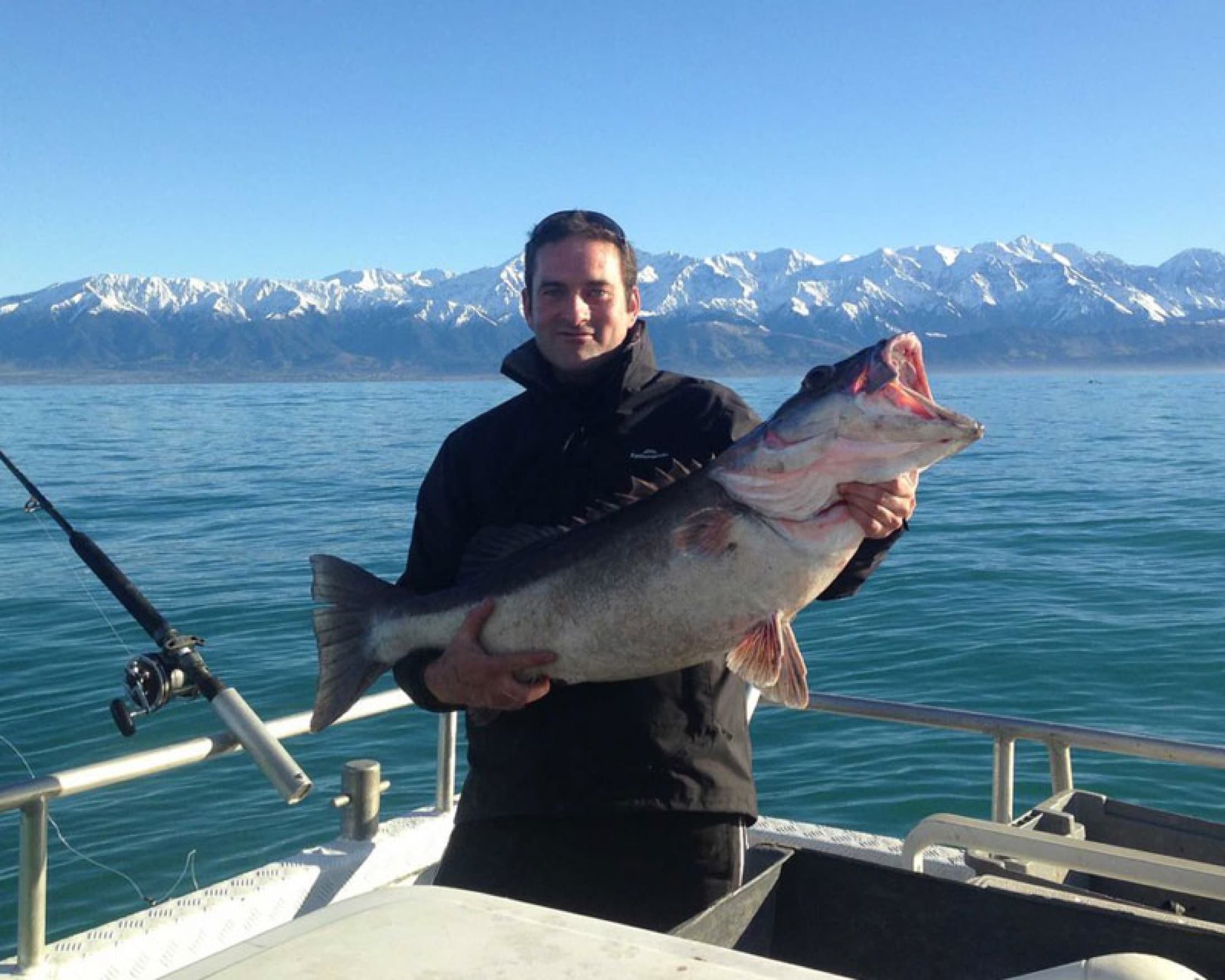 New Zealand: Deep Sea Fishing & Tahr Hunt travel photo